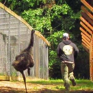 Meet your Posher, Grant